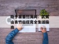 隐于茶香竹海间：武夷山青竹山庄完全生活指南