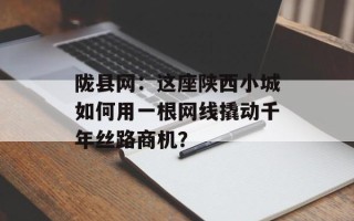 陇县网：这座陕西小城如何用一根网线撬动千年丝路商机？