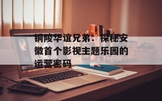铜陵华谊兄弟：探秘安徽首个影视主题乐园的运营密码