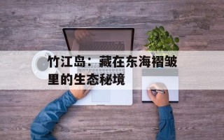 竹江岛：藏在东海褶皱里的生态秘境