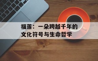 福莲：一朵跨越千年的文化符号与生命哲学
