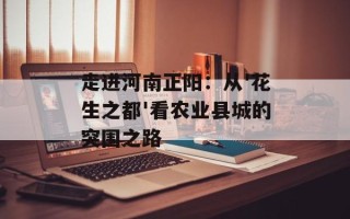 走进河南正阳：从'花生之都'看农业县城的突围之路