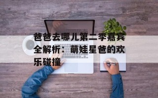 爸爸去哪儿第二季嘉宾全解析：萌娃星爸的欢乐碰撞