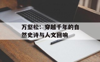 万壑松：穿越千年的自然史诗与人文回响