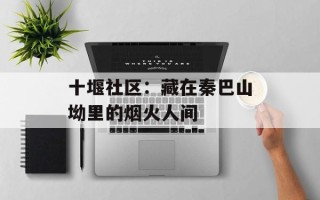 十堰社区：藏在秦巴山坳里的烟火人间