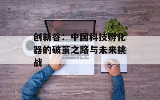 创新谷：中国科技孵化器的破茧之路与未来挑战