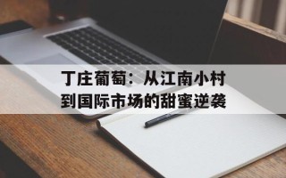 丁庄葡萄：从江南小村到国际市场的甜蜜逆袭