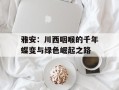 雅安：川西咽喉的千年蝶变与绿色崛起之路