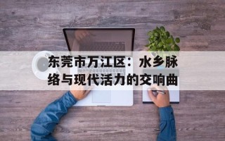 东莞市万江区：水乡脉络与现代活力的交响曲
