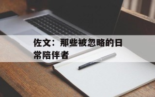 佐文：那些被忽略的日常陪伴者