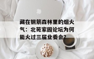 藏在钢筋森林里的烟火气：北苑家园论坛为何能火过三届业委会？