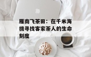 雁南飞茶田：在千米海拔寻找客家茶人的生命刻度