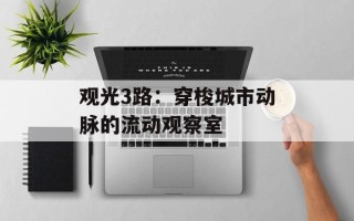观光3路：穿梭城市动脉的流动观察室
