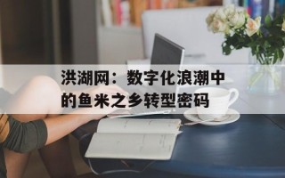 洪湖网：数字化浪潮中的鱼米之乡转型密码