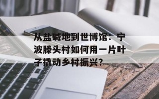 从盐碱地到世博馆：宁波滕头村如何用一片叶子撬动乡村振兴？