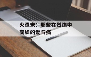 火鸳鸯：那些在烈焰中交织的爱与痛