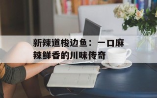 新辣道梭边鱼：一口麻辣鲜香的川味传奇