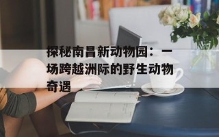 探秘南昌新动物园：一场跨越洲际的野生动物奇遇