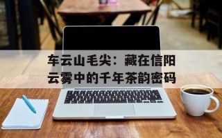 车云山毛尖：藏在信阳云雾中的千年茶韵密码