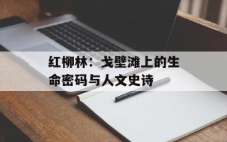红柳林：戈壁滩上的生命密码与人文史诗