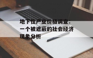 地下性产业价格调查：一个被遮蔽的社会经济现象分析