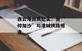 连云港台风纪实：当“桦加沙”与港城狭路相逢