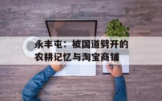 永丰屯：被国道劈开的农耕记忆与淘宝商铺
