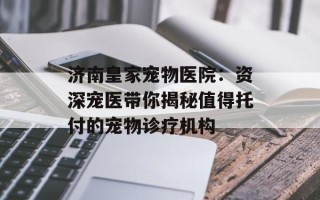 济南皇家宠物医院：资深宠医带你揭秘值得托付的宠物诊疗机构