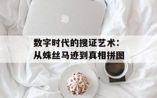 数字时代的搜证艺术：从蛛丝马迹到真相拼图