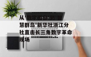 从'数字孤岛'到'智慧群岛'新华社浙江分社直击长三角数字革命现场