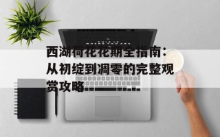 西湖荷花花期全指南：从初绽到凋零的完整观赏攻略