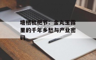 塘栖枇杷节：金丸玉露里的千年乡愁与产业密码