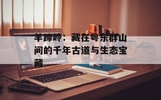 羊蹄岭：藏在粤东群山间的千年古道与生态宝藏