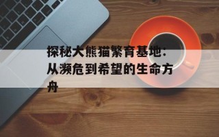 探秘大熊猫繁育基地：从濒危到希望的生命方舟
