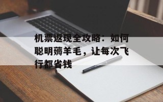 机票返现全攻略：如何聪明薅羊毛，让每次飞行都省钱