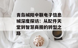 青岛城阳中联电子信息城深度探访：从配件天堂到智慧商圈的转型之路