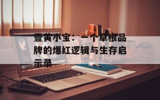 壹黄小宝：一个草根品牌的爆红逻辑与生存启示录
