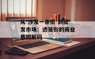 从'沙发一条街'到批发市场：透笼街的商业基因解码