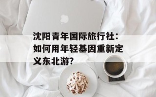 沈阳青年国际旅行社：如何用年轻基因重新定义东北游？
