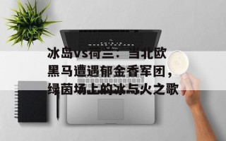 冰岛vs荷兰：当北欧黑马遭遇郁金香军团，绿茵场上的冰与火之歌