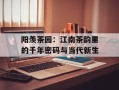 阳羡茶园：江南茶韵里的千年密码与当代新生