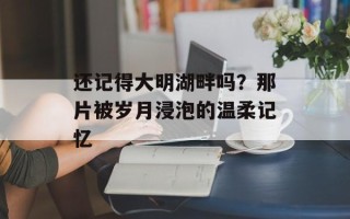 还记得大明湖畔吗？那片被岁月浸泡的温柔记忆