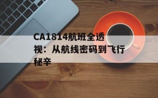 CA1814航班全透视：从航线密码到飞行秘辛