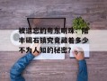 被遗忘的粤东明珠：陆丰碣石镇究竟藏着多少不为人知的秘密？