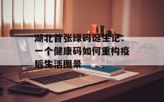 湖北首张绿码诞生记：一个健康码如何重构疫后生活图景