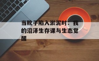 当靴子陷入淤泥时：我的沼泽生存课与生态觉醒