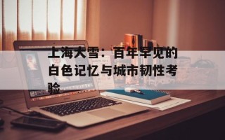 上海大雪：百年罕见的白色记忆与城市韧性考验