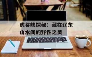 虎谷峡探秘：藏在辽东山水间的野性之美