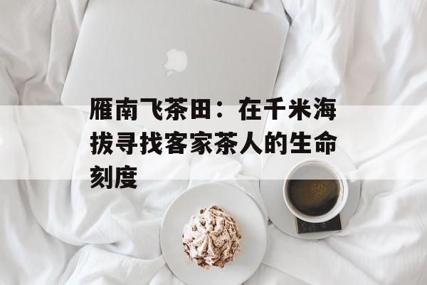 雁南飞茶田：在千米海拔寻找客家茶人的生命刻度-第1张图片-