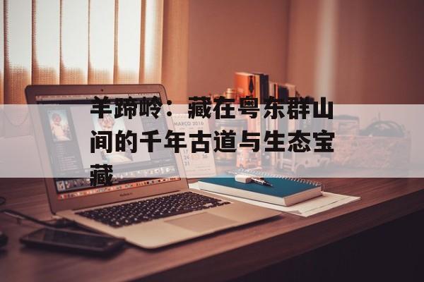 羊蹄岭：藏在粤东群山间的千年古道与生态宝藏-第1张图片-